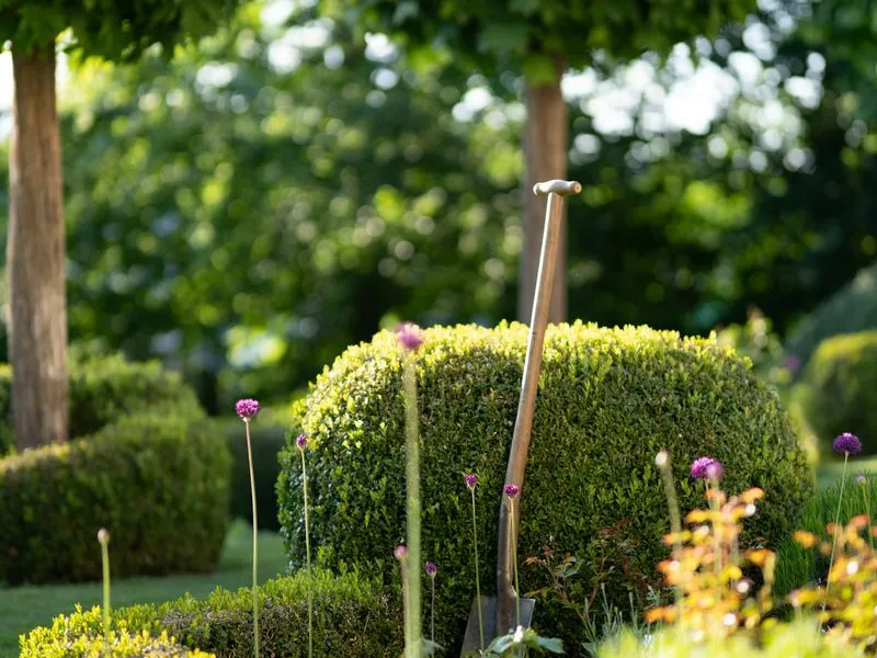 Landscaped beds with shrubs