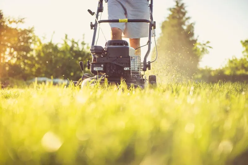 Lawn being mowed